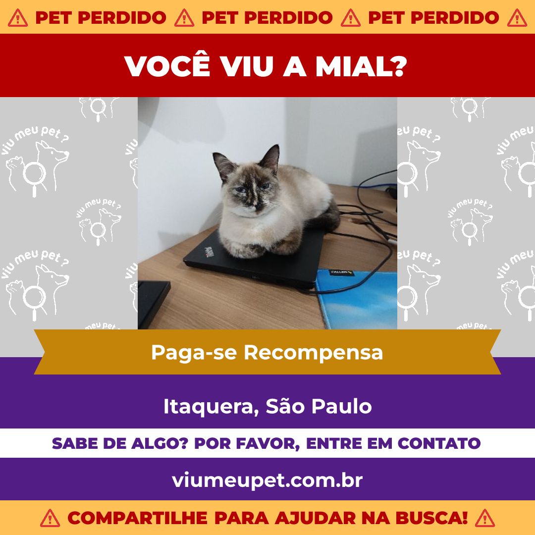 Anúncio formato feed