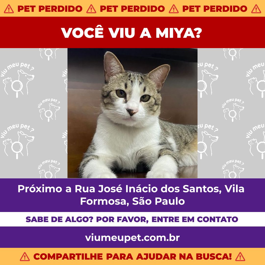 Anúncio formato feed