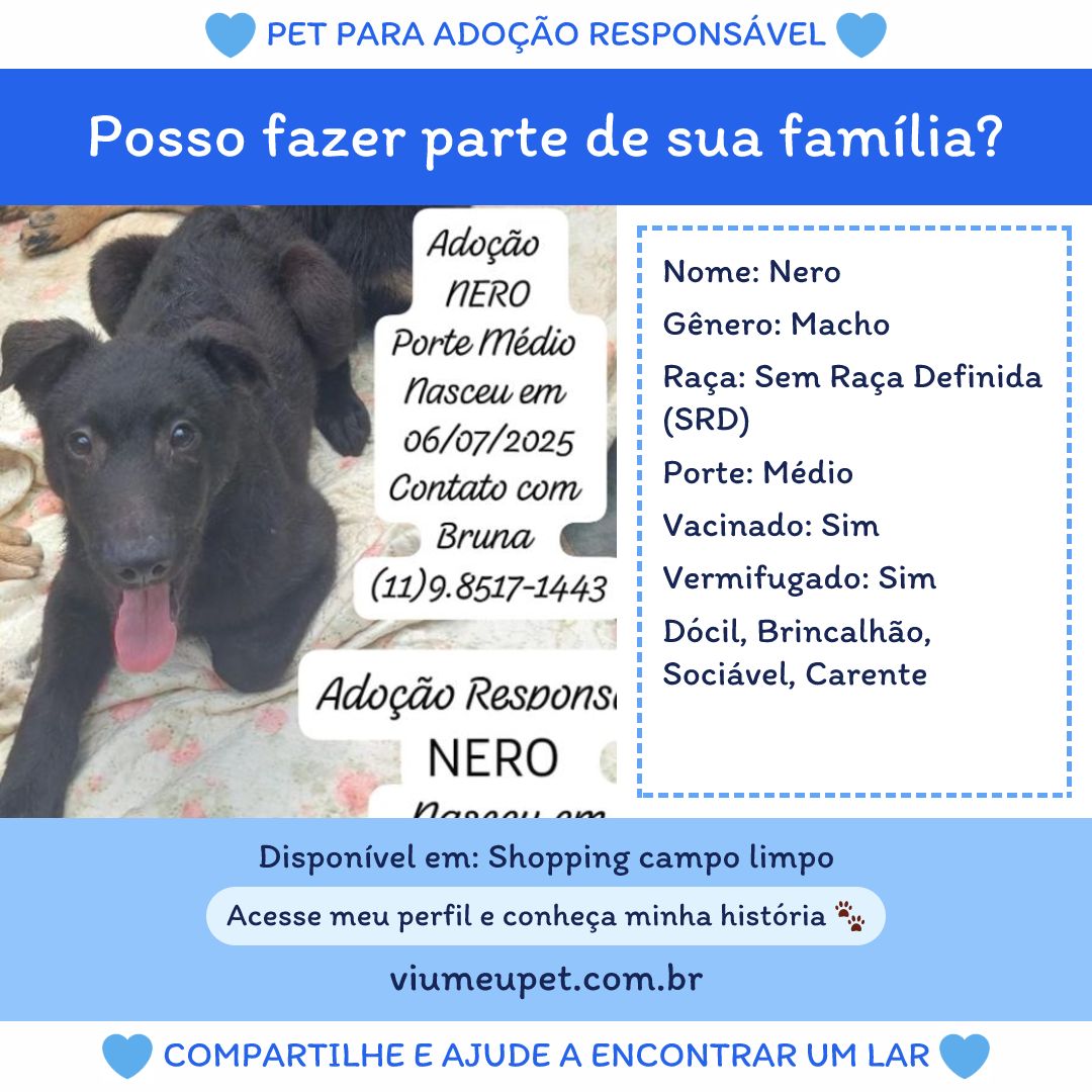 Anúncio formato feed