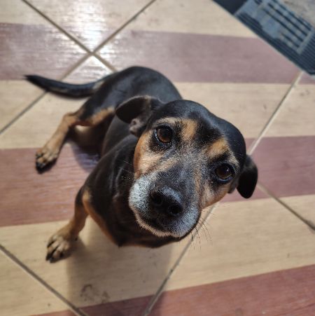 Foto de Beethoven