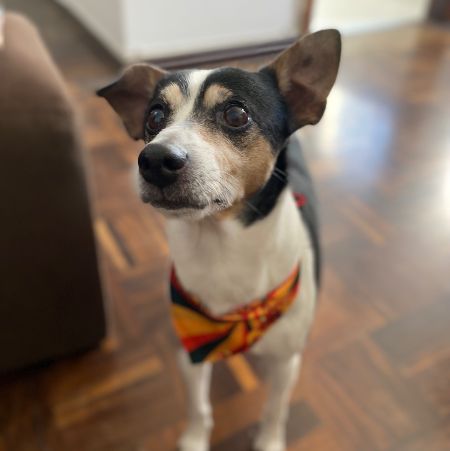 Foto de Tito