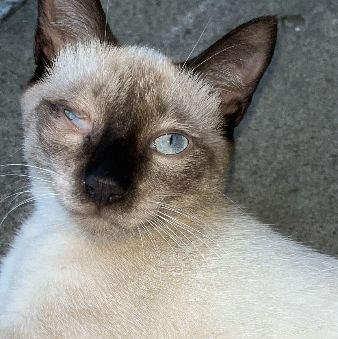 Foto de José