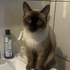 Foto de Bartolomeu