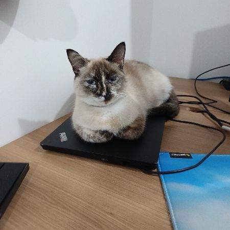 Foto de Mial