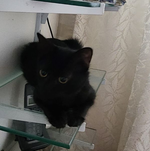 Foto de Tita