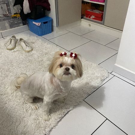 Foto de Mel