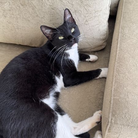 Foto de Jiji