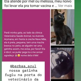 Foto de Mel Melissa