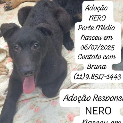 Foto de Nero