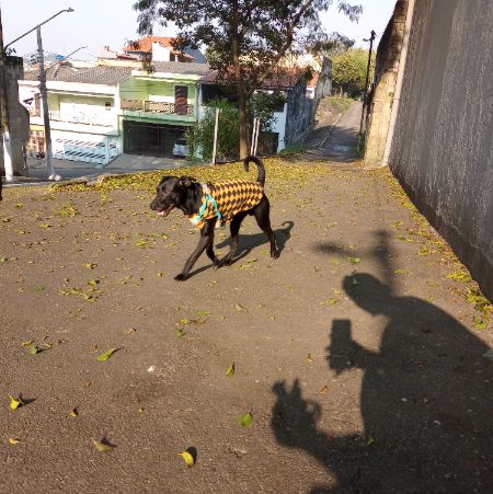 Foto de Spooky