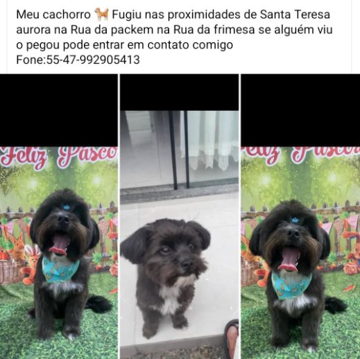 Foto de Juca