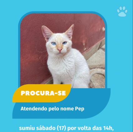 Foto de Pepe